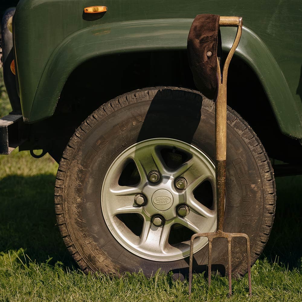 Signature Look Tintin Fellow - b