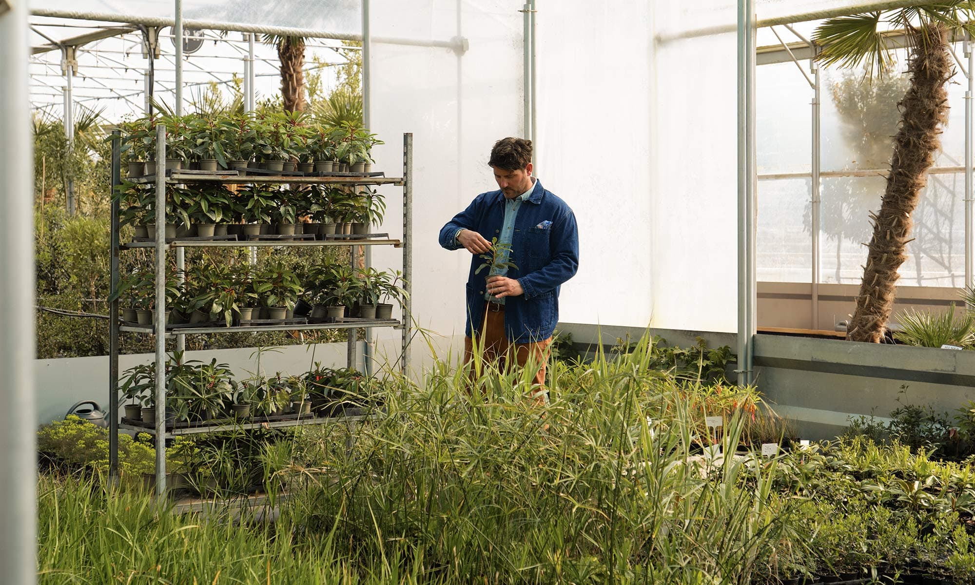 Guy working in polytunnel